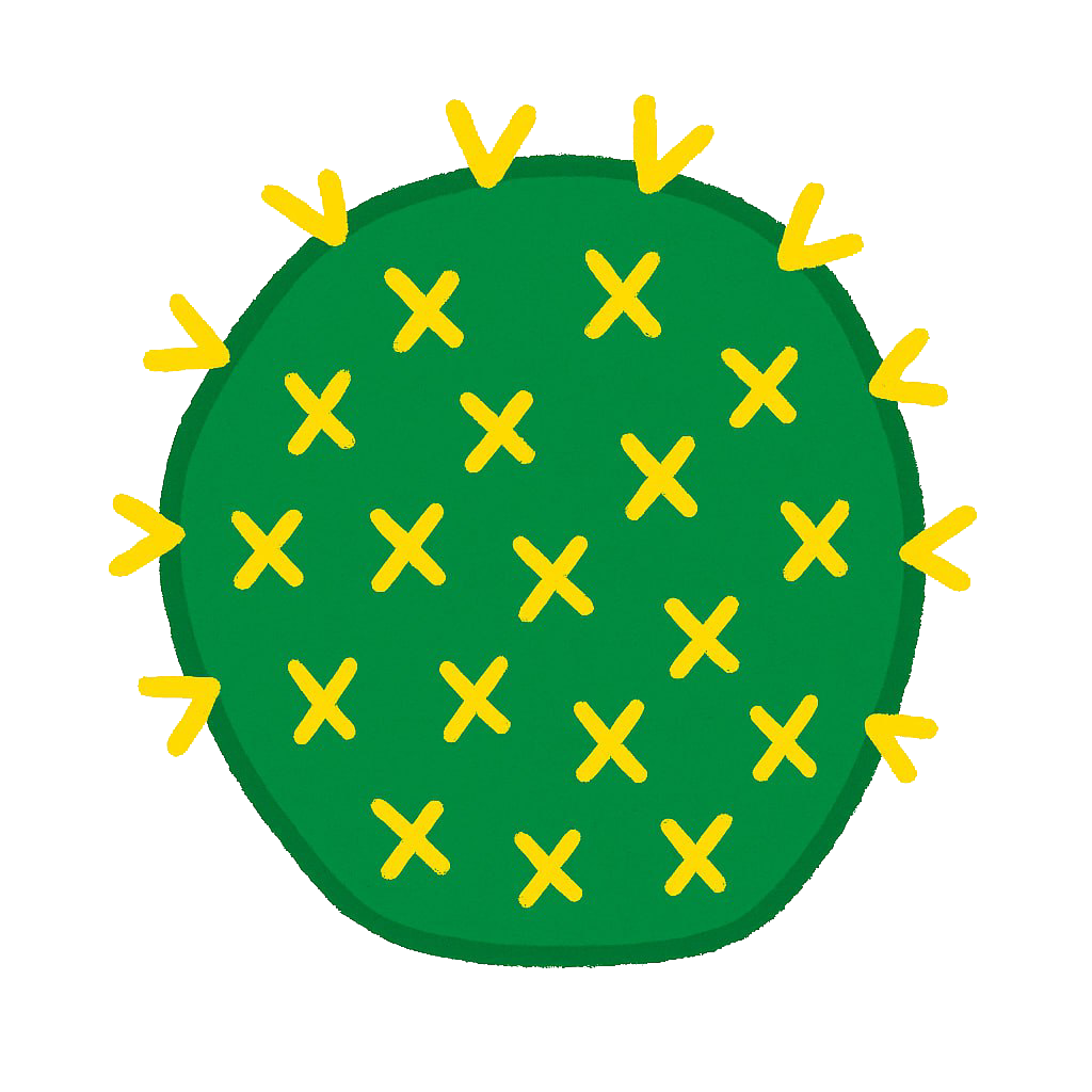 Cactus